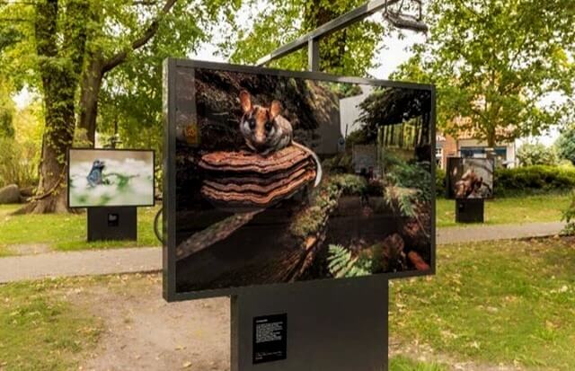 Outdoor exhibition by Klaus Echle