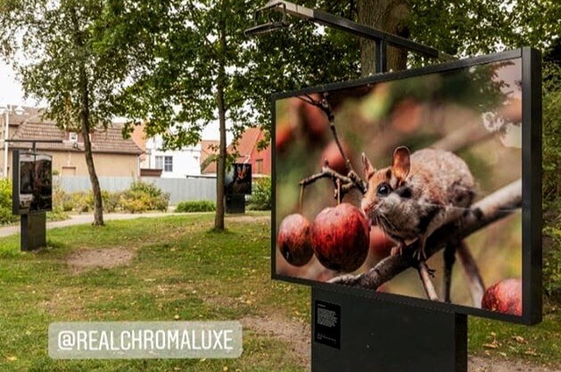 Outdoor exhibition by Klaus Echle