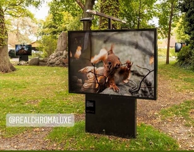 Outdoor exhibition by Klaus Echle