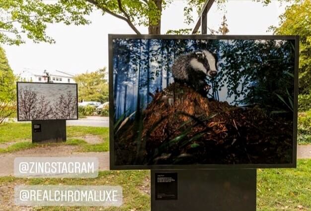 Exposición al aire libre de Klaus Echle