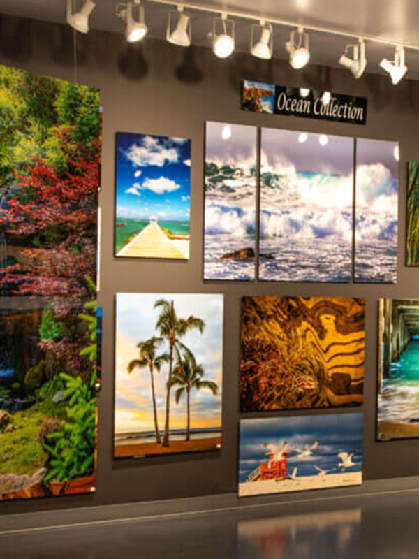 ChromaLuxe Arts and Museums