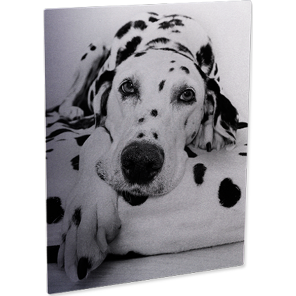 Matte Clear Aluminum Panels - Image 2