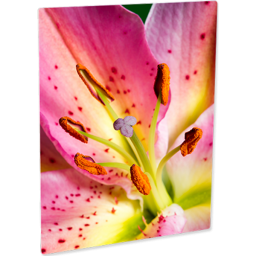 Matte White Aluminum Panels