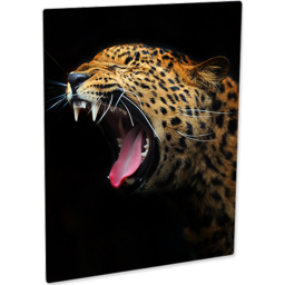 Semi-Gloss White Aluminum Panels