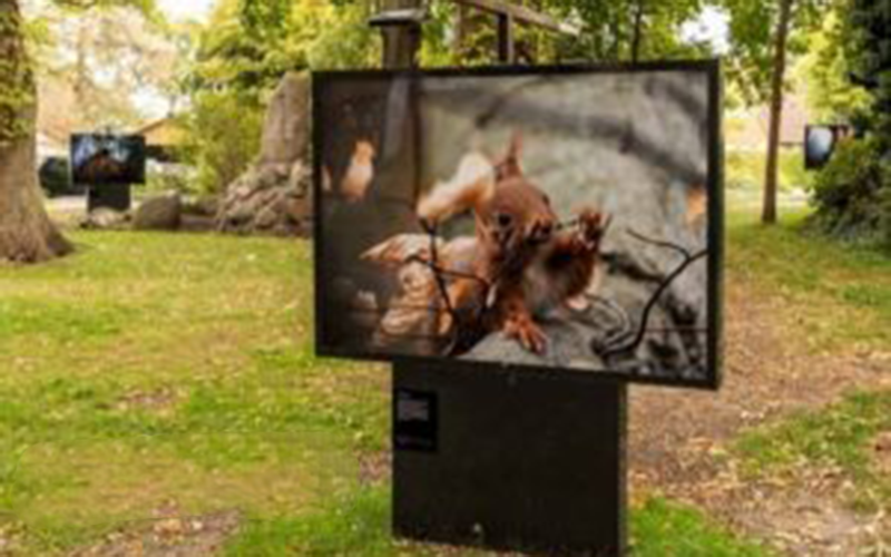 art installation in park with chromaluxe