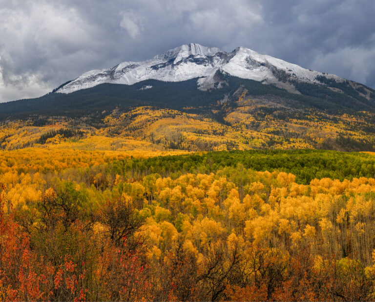 West Beckwith Drama by Matt Payne